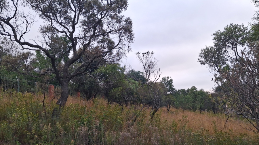 0 Bedroom Property for Sale in Buffelspoort Eco Estate North West